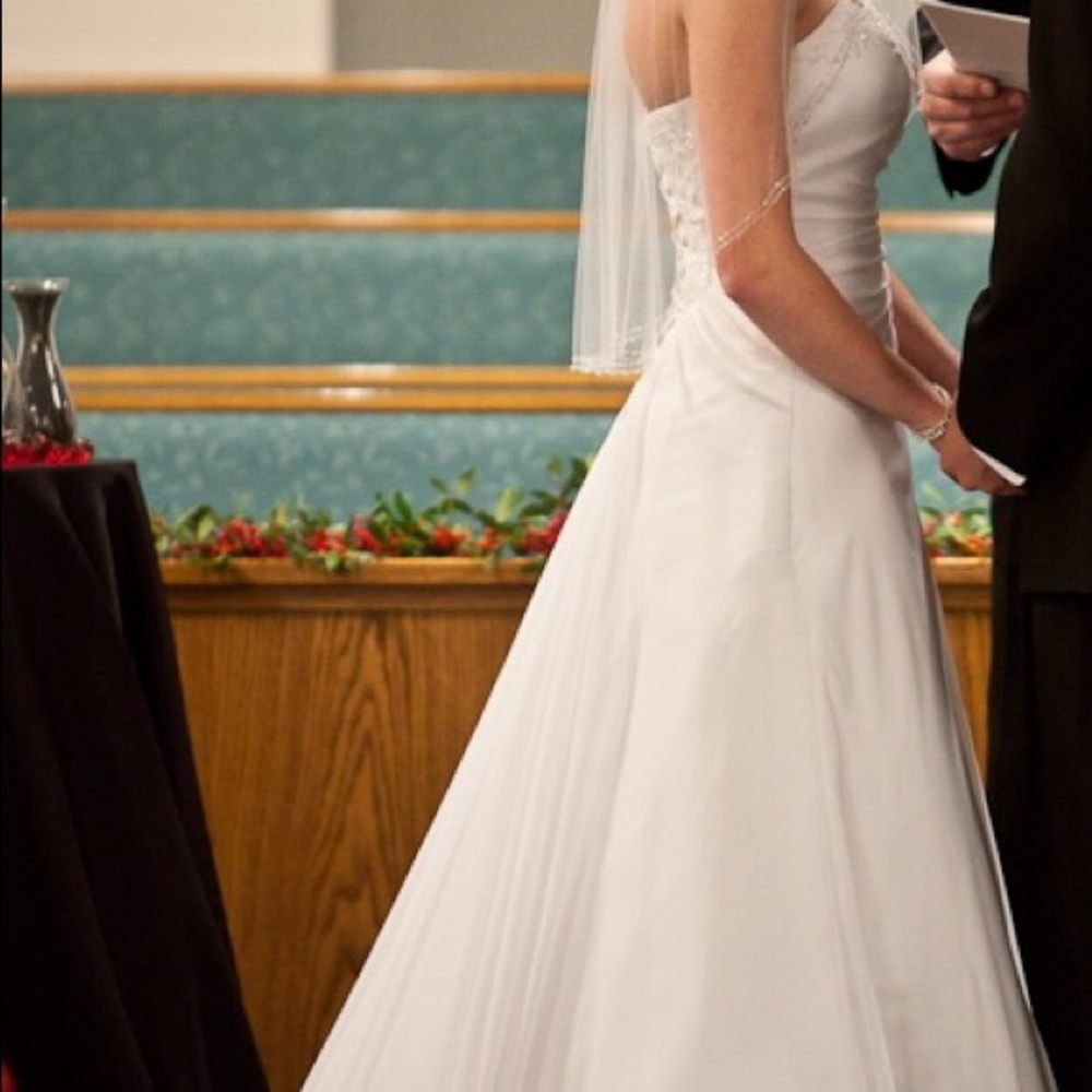 David’s Bridal Wedding Dress - Picture 6 of 8